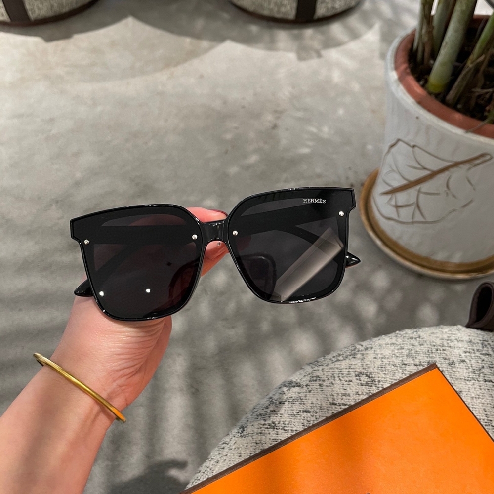 Hermès Signature Minimalist Shades